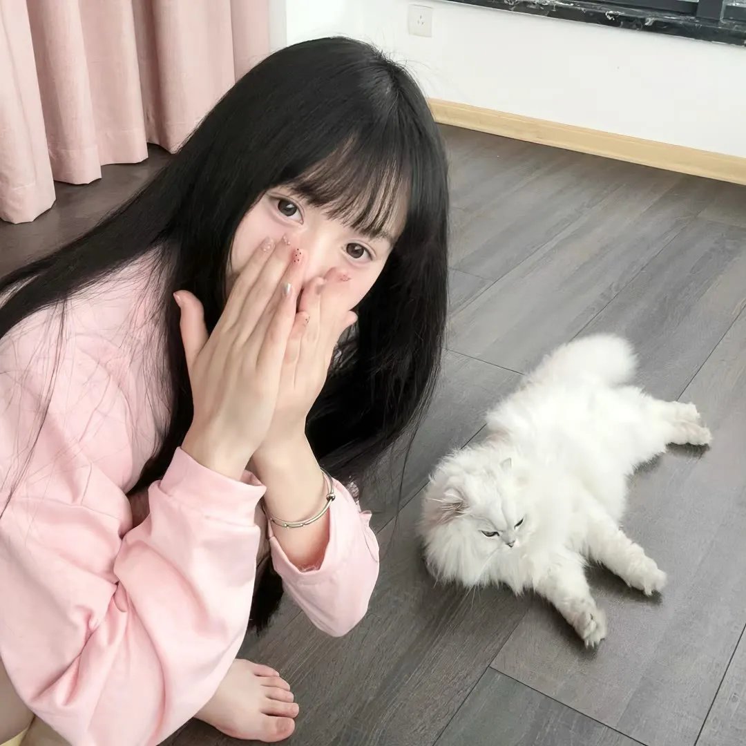 猎鹰的兄弟